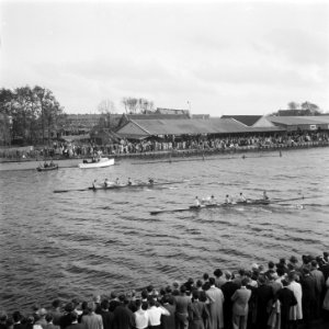 Roeiwedstrijd op de Oude Rijn, Bestanddeelnr 900-7916