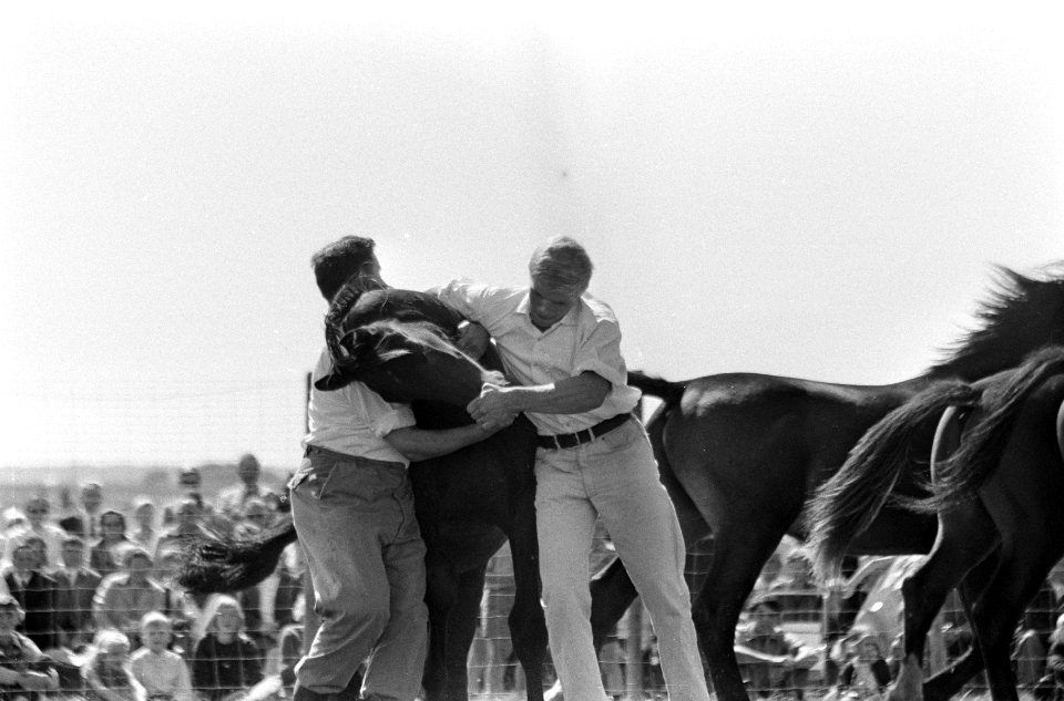 Rodeo in Schagen. Paardenvanger gaat hier achter een Friese hengst aan, Bestanddeelnr 920-6129