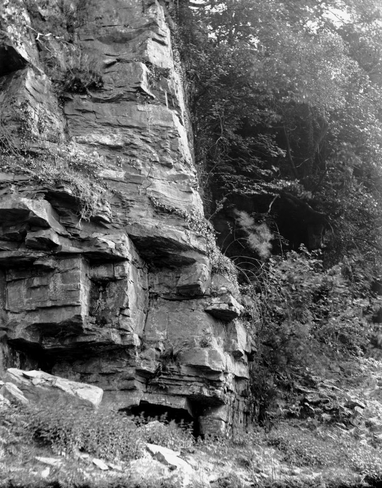 Rocks (1295131)