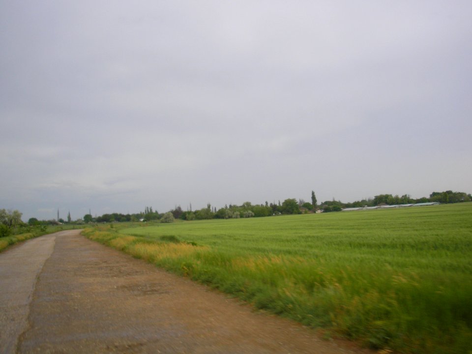 RodnoeDz 4