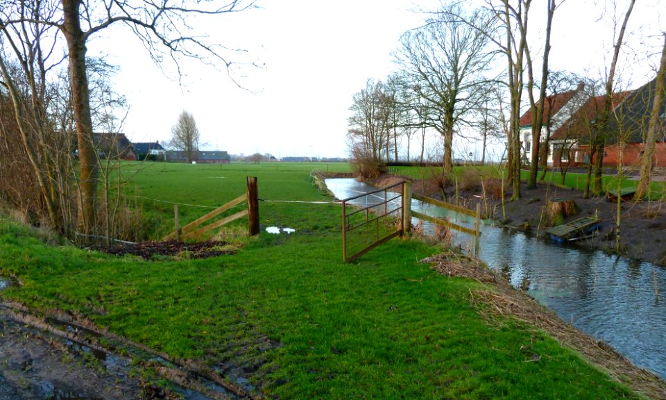 Rodeschool - boerderijen en wierde