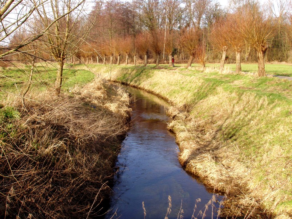 Rode Bach near Schinveld-2