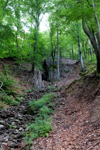 Rombachwasserfall Taunus 2020-08-18 26