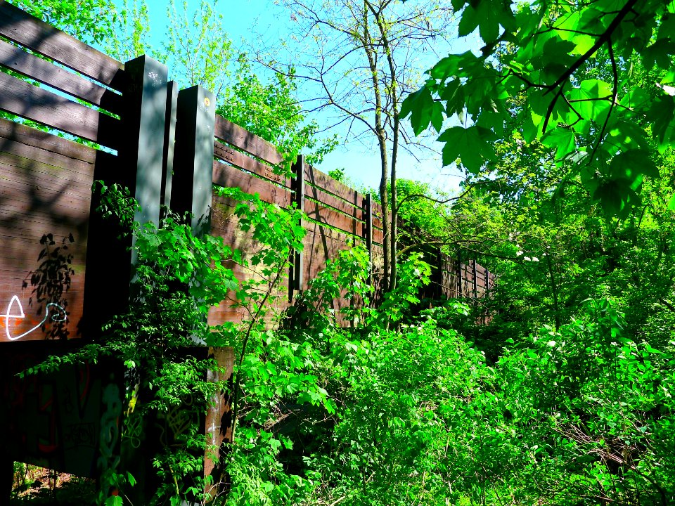 Rodelbahnbrücke (Berlin-Grunewald)