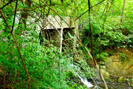 Rocky Run Culvert (Modern) on Chesapeake and Ohio Canal