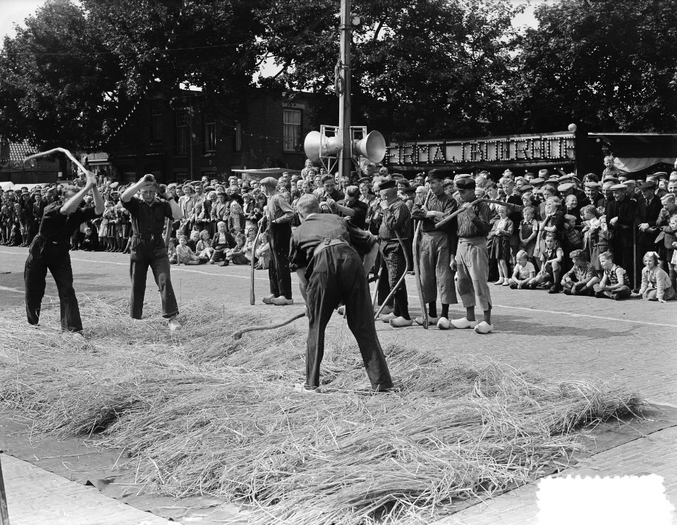 Roggefeest in Raalte. Sallands oogtfeest 'Stöppelhaene in Raalte, Bestanddeelnr 904-7268