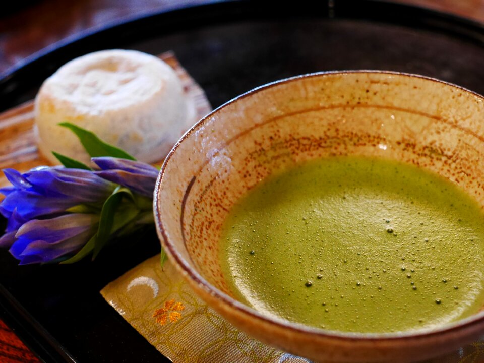 Matcha green tea green tea tea ceremony photo