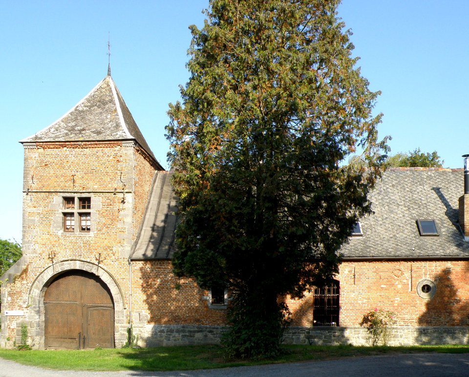 Roisin Château Flanc sud 1