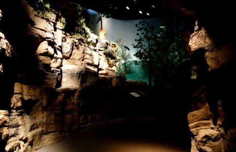 Rocky passage - Fernbank Museum of Natural History - DSC00146