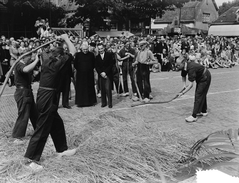 Roggefeest in Raalte. Sallands oogtfeest 'Stöppelhaene in Raalte. Op het progra, Bestanddeelnr 904-7267
