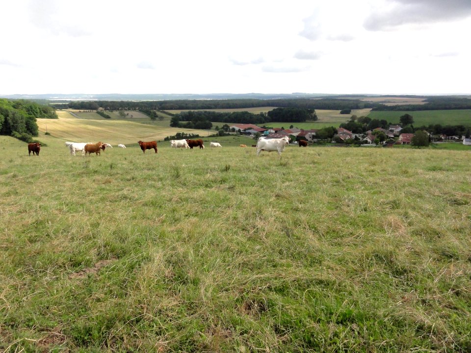 Romain (M-et-M) vue du village