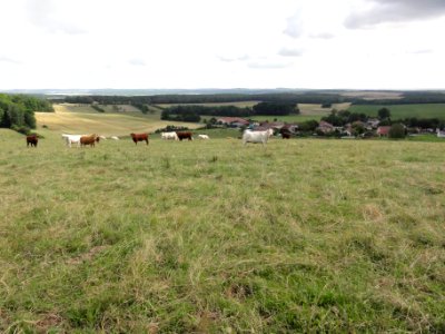 Romain (M-et-M) vue du village
