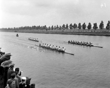 Roeiwedstrijden Triton in verband met lustrum te Jutphaas, Bestanddeelnr 907-8615