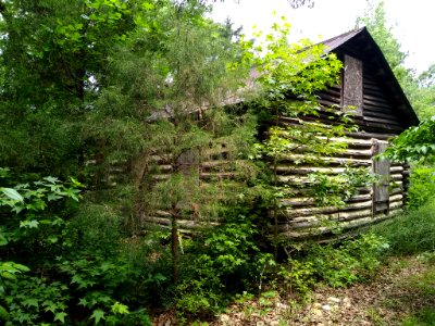 Rogers-Jones Cabin 1