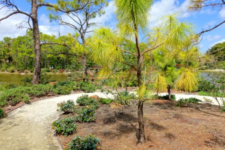 Rocky Point - Morikami Museum and Japanese Gardens - Palm Beach County, Florida - DSC03570