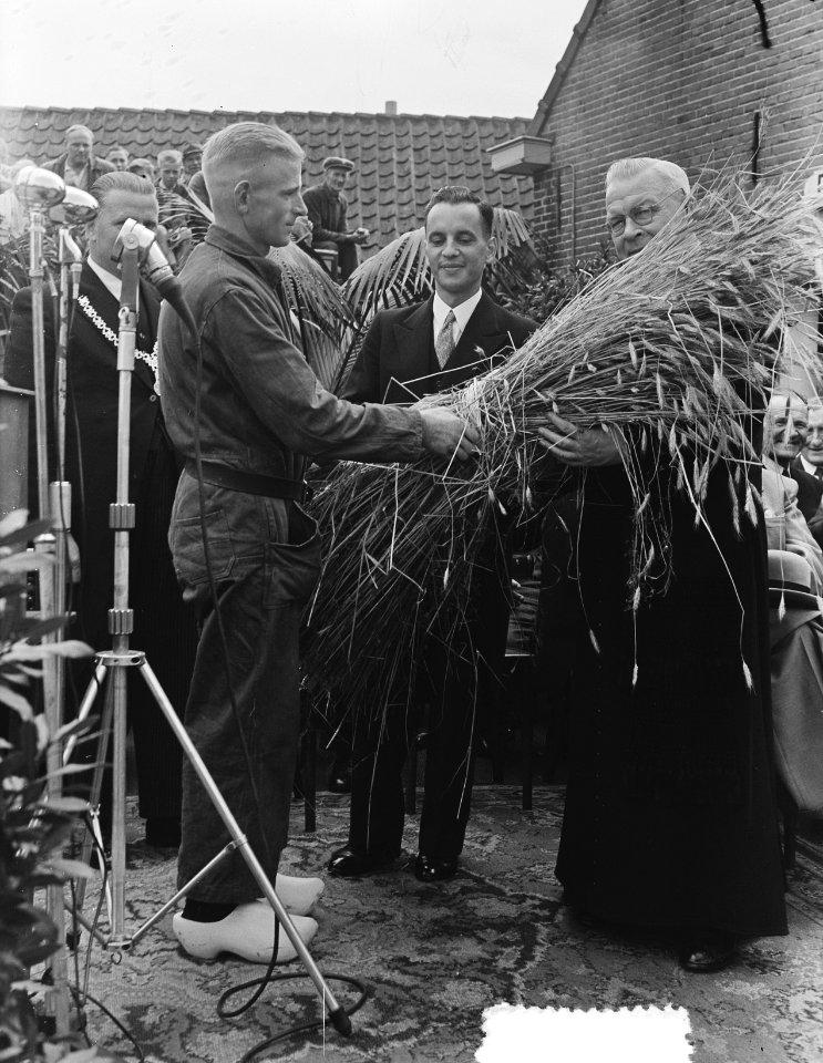 Roggefeest in Raalte. Sallands oogtfeest 'Stöppelhaene in Raalte, Bestanddeelnr 904-7269