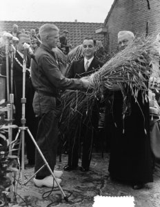 Roggefeest in Raalte. Sallands oogtfeest 'Stöppelhaene in Raalte, Bestanddeelnr 904-7269