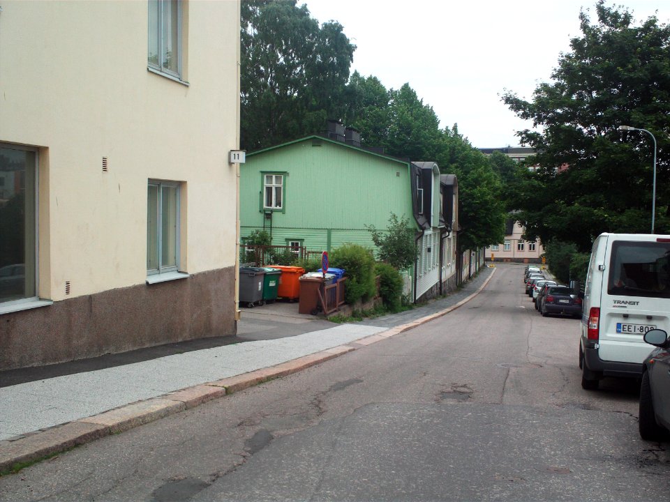 Roineentie Puu Vallila