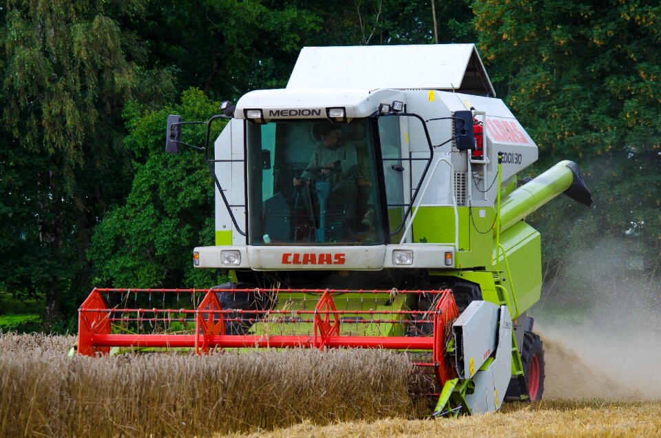 Grain field agriculture