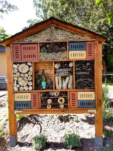 Rollsdorf Insektenhotel 1