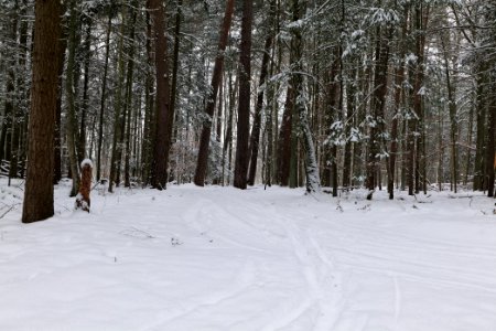 Rohrpfuhl nature reserve with snow 2021-02-09 09