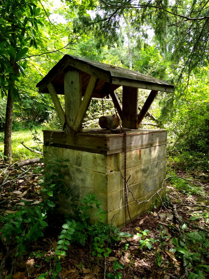 Rogers-Jones Cabin 5