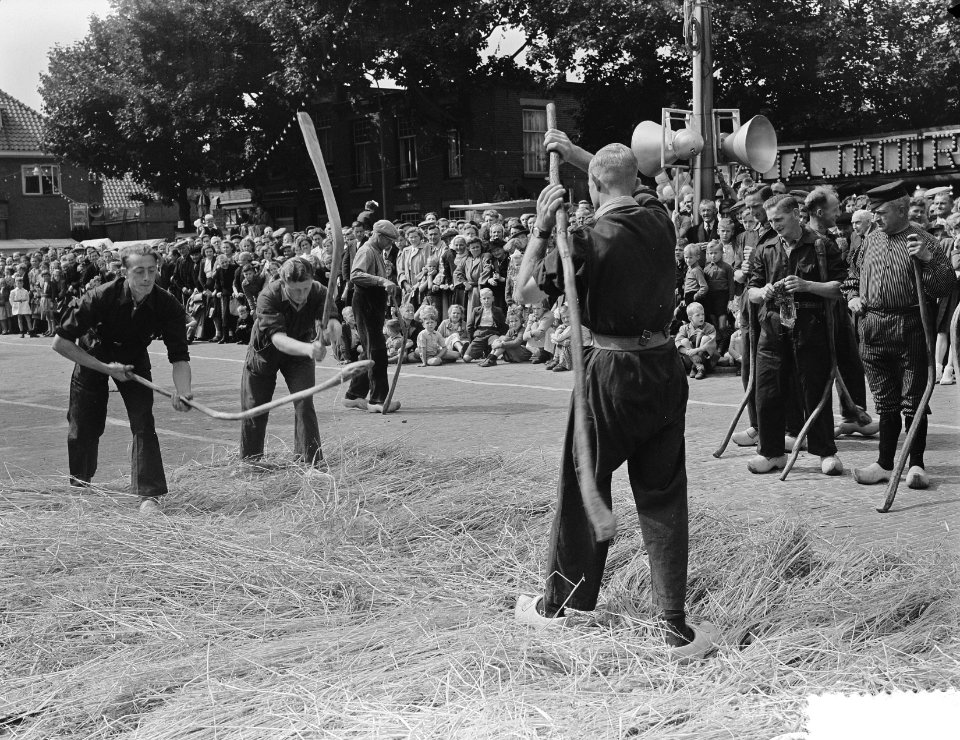 Roggefeest in Raalte. Sallands oogtfeest 'Stöppelhaene in Raalte. Dorswedstrijd, Bestanddeelnr 904-7265