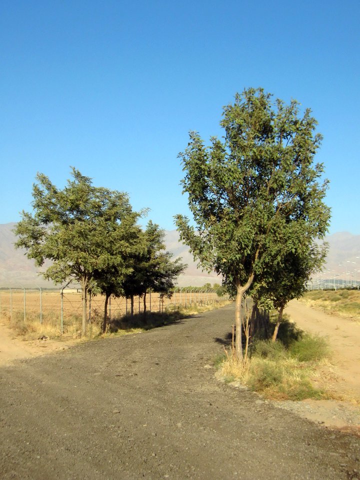 Road of Baghrud -( Baqrud chemin )- Nishapur 129