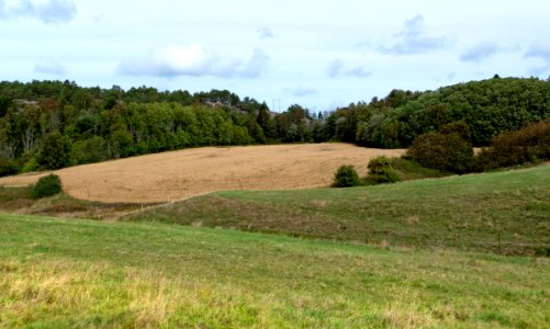 Rolling hills in Immestad