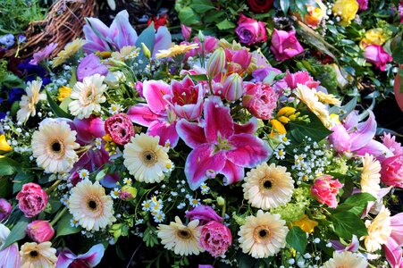 Bouquets color lily photo