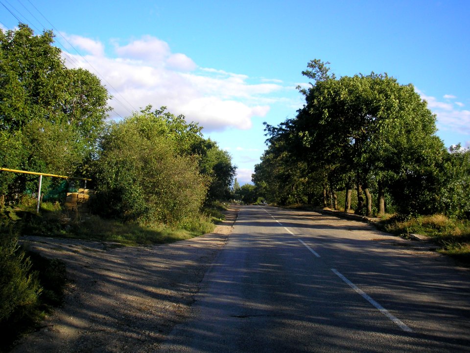 Road Novovasilevka1