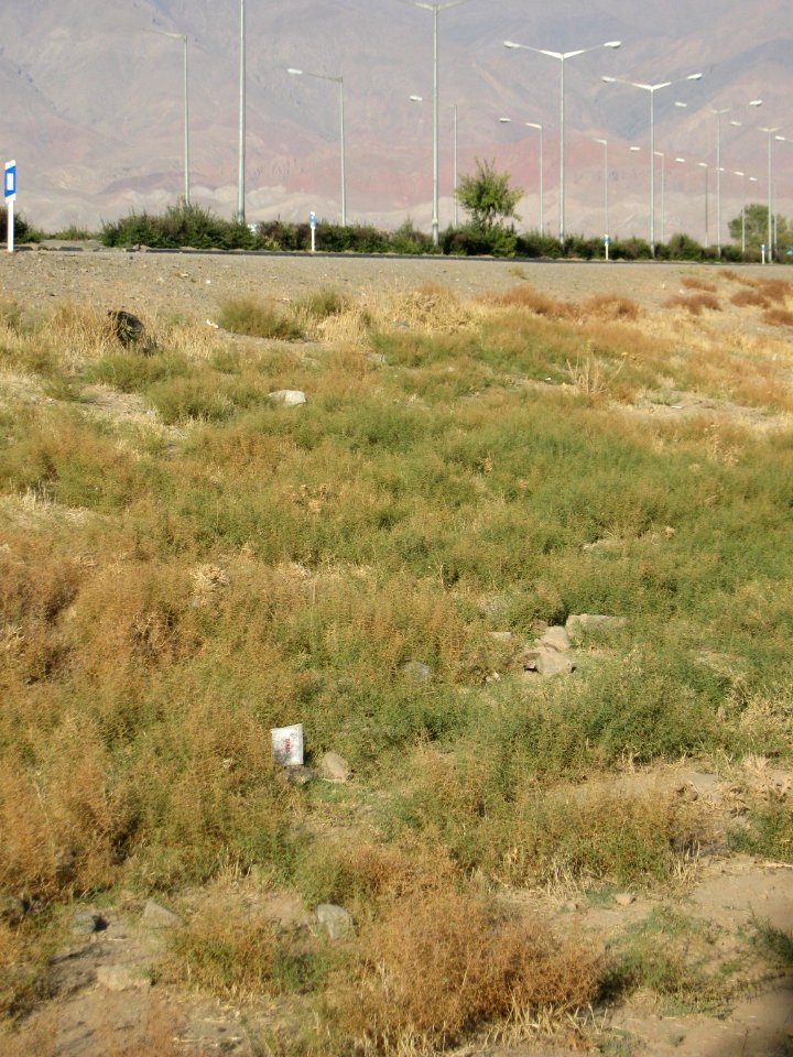 Road of Baghrud -( Baqrud chemin )- Nishapur 107