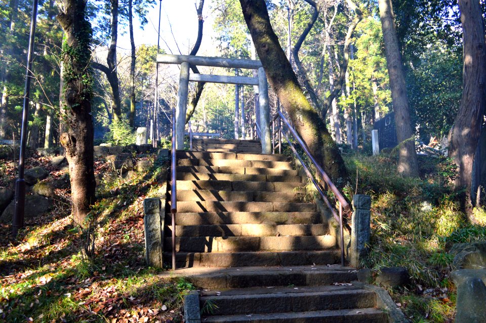 Rokusho-jinja Ruins (Tsukuba) torii