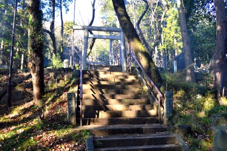 Rokusho-jinja Ruins (Tsukuba) torii