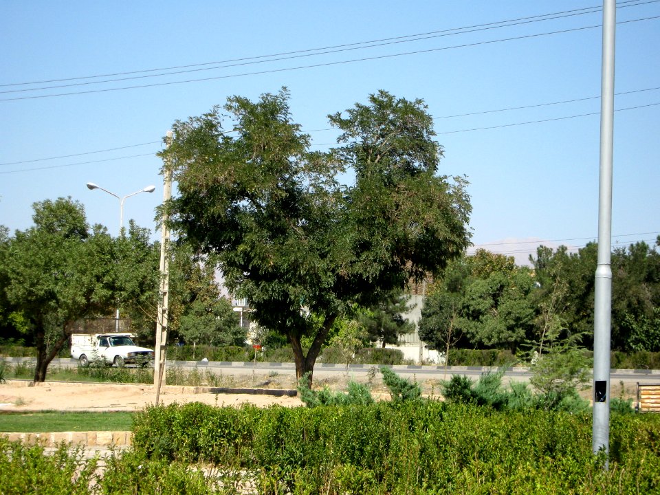Road 44 east of Iran view - near Simorgh Culture House - Nishapur 010