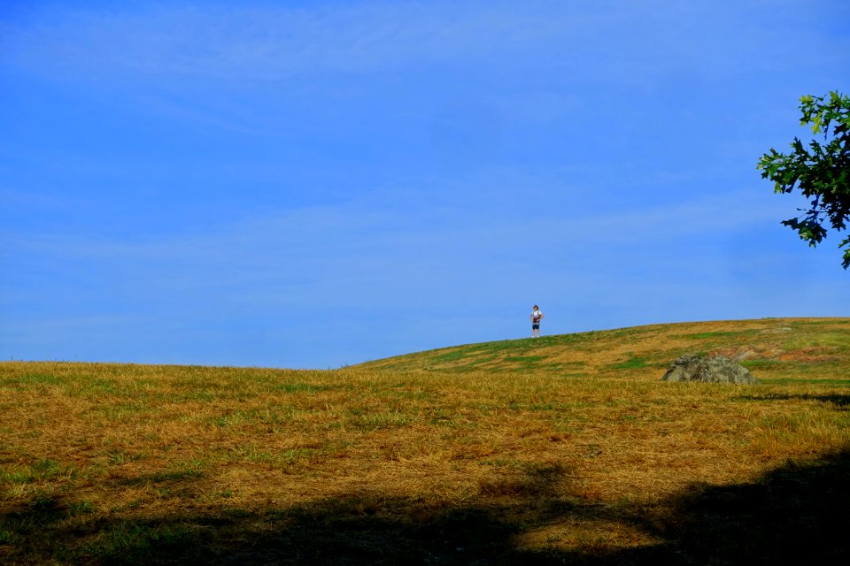 Robbins Farm Park - Arlington, MA - DSC02900