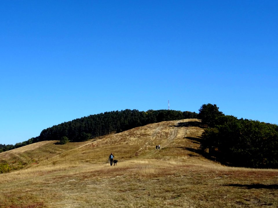 RO BV Lempes Hill 1