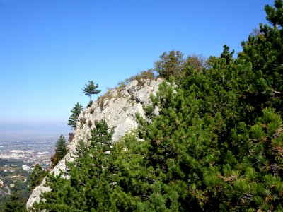RO BV Tampa Mica peak