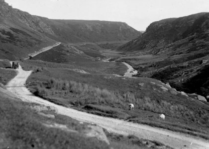 Road at Abergwesyn (1294455)