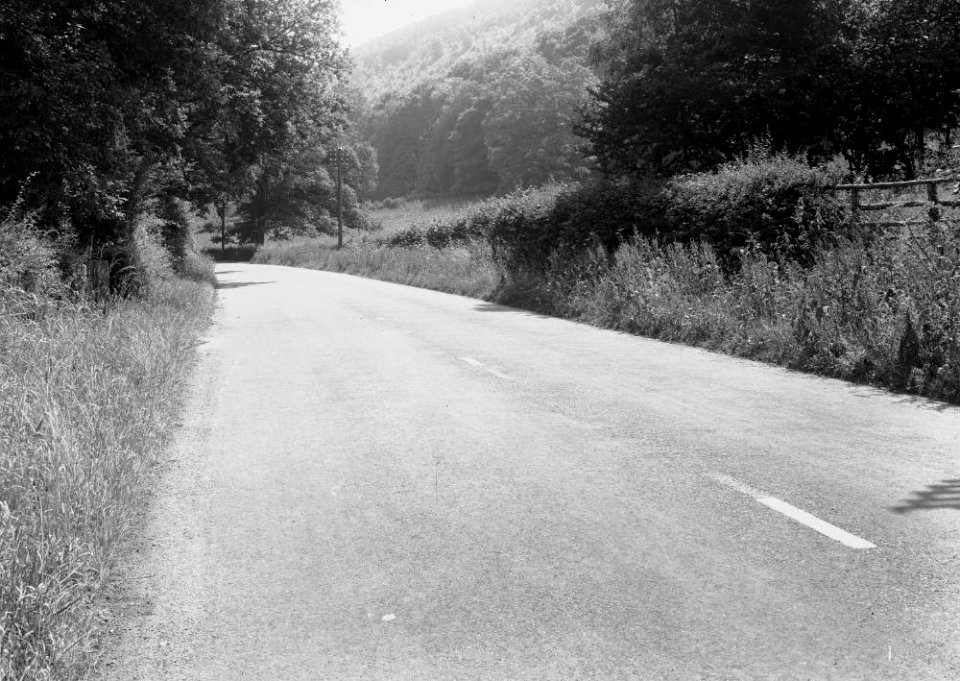 Road at Erwood (1294308)