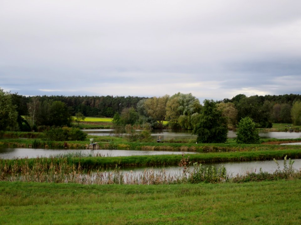 Rohensaas 1