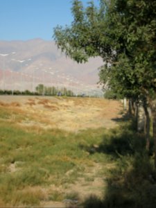 Road of Baghrud -( Baqrud chemin )- Nishapur 106