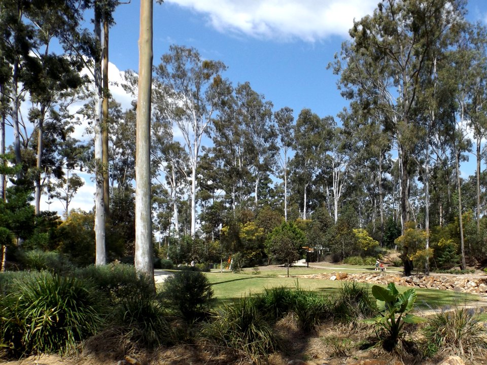 Robelle Domain parklands Springfield Central