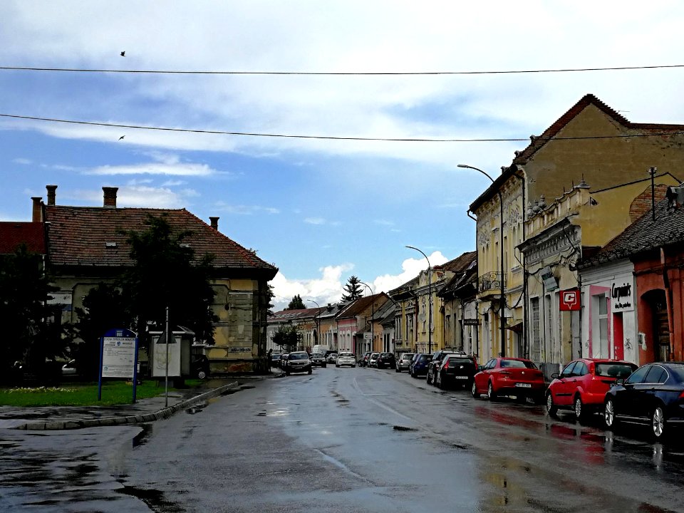 RO MS Str. Calarasilor (1)
