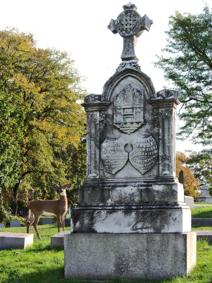 Robb (C. W.), Allegheny Cemetery, 2015-10-22, 01