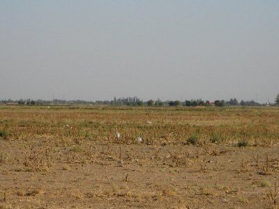 Road of Baghrud -( Baqrud chemin )- Nishapur 101