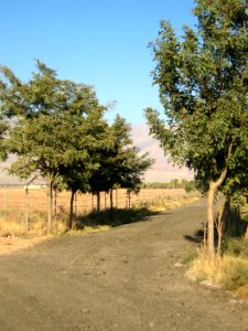 Road of Baghrud -( Baqrud chemin )- Nishapur 128
