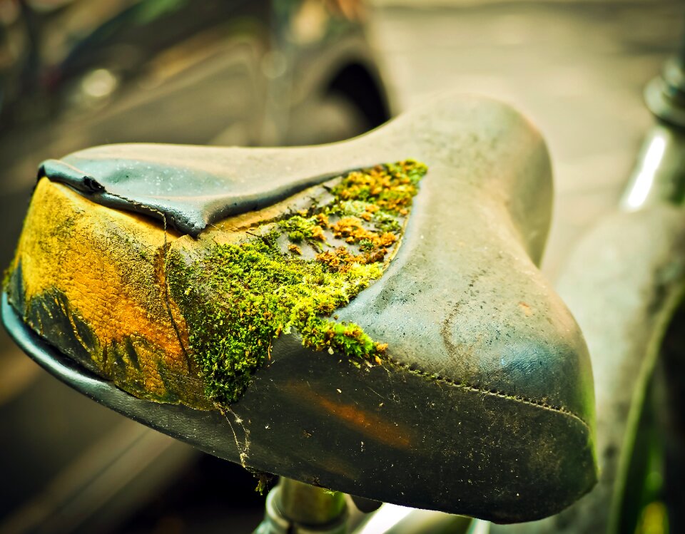 Bicycle saddle cycling means of transport