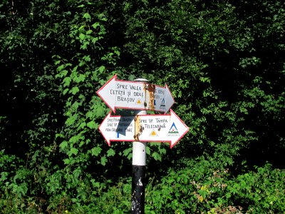RO BV Tampa trailheads