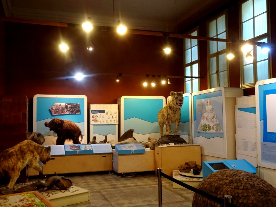 RO MS Nature History Museum interior